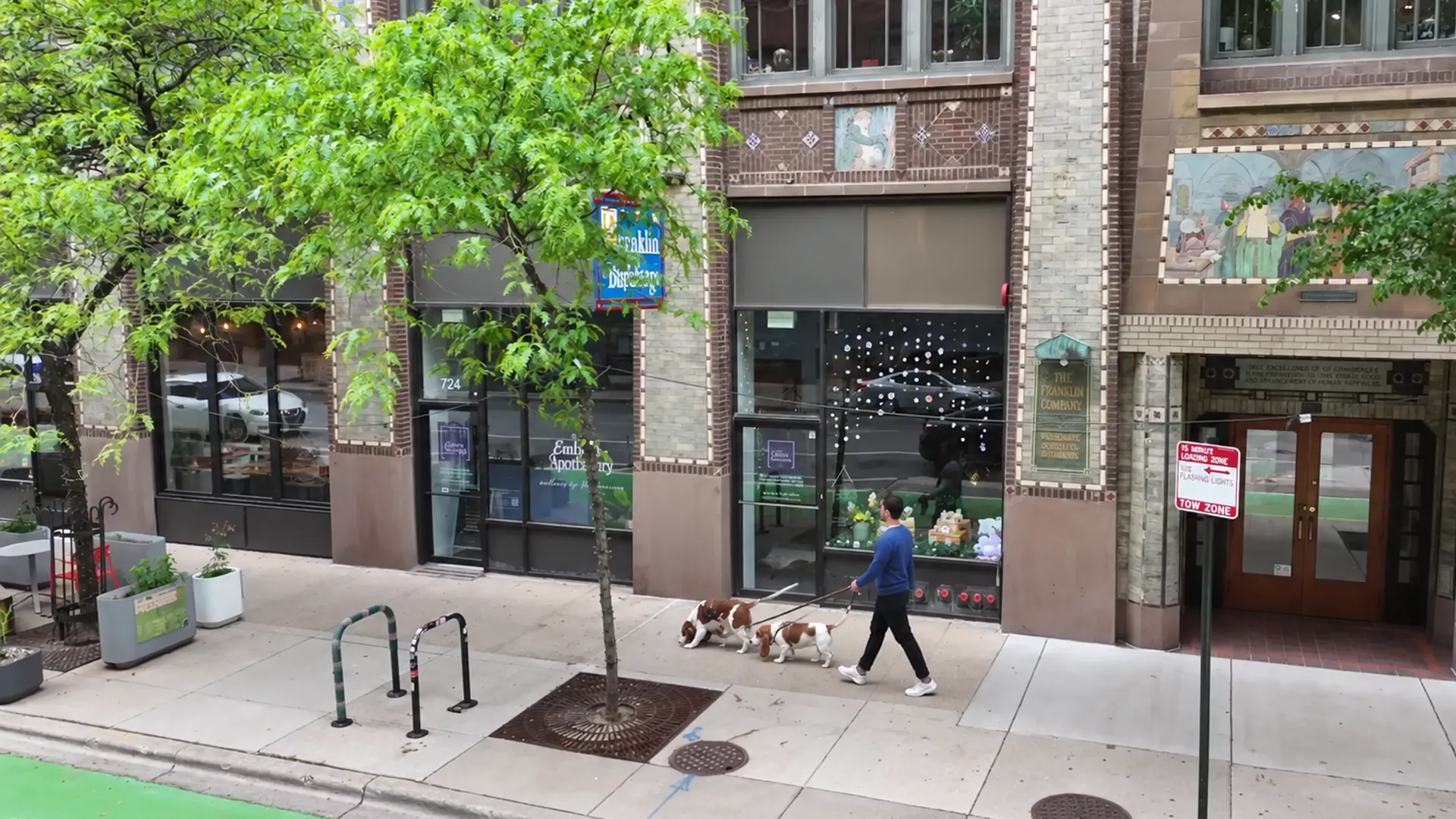 Dog walking past 812 W. Adams in West Loop Chicago
